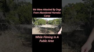 Dog Attack From Homeless Camp