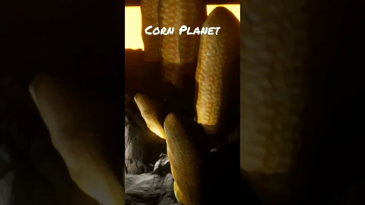 Giant Corn Planet #itscorn #fall2022 #fall