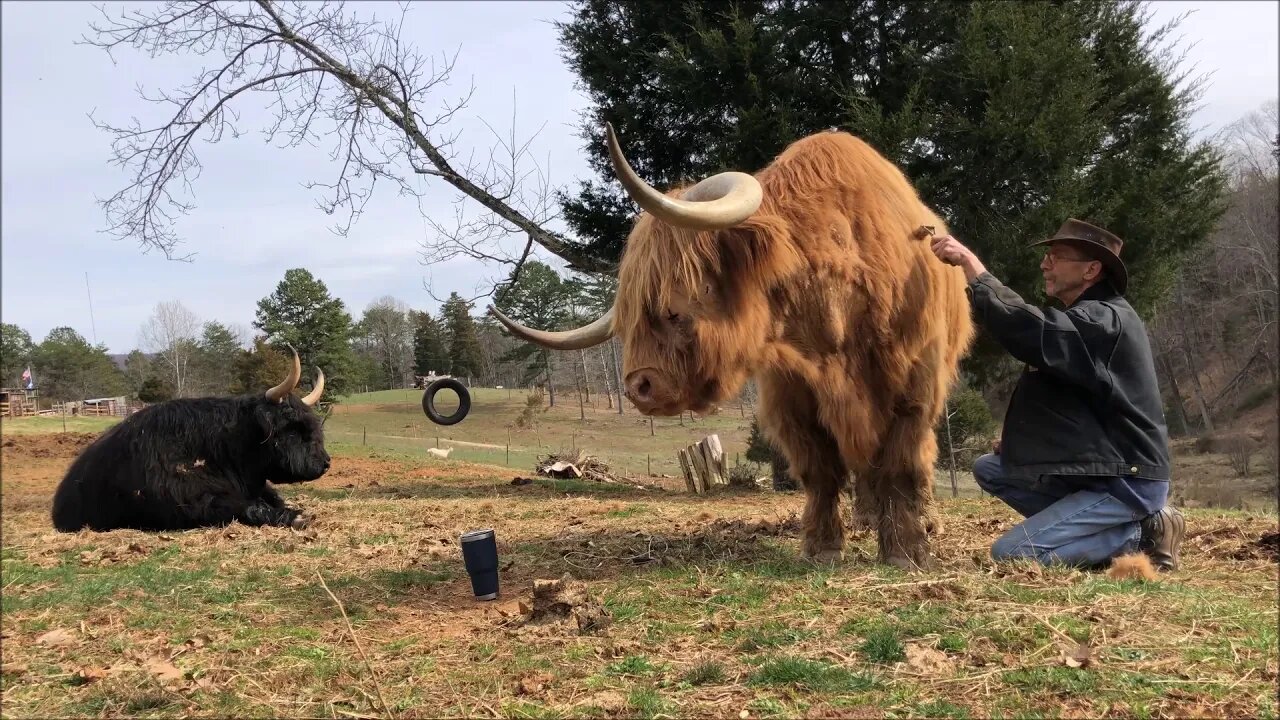 Getting back to normal (for him, anyway)