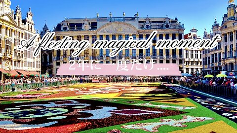 Europe a sight to behold🇧🇪Brussels Belgium Unesco world 【ヨーロッパ絶景】お薦めブリュッセル,ベルギー世界遺産