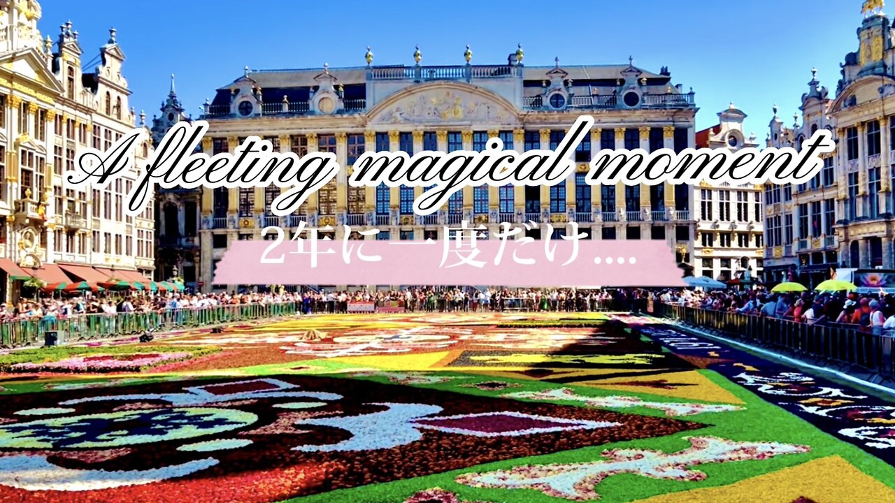 Europe a sight to behold🇧🇪Brussels Belgium Unesco world 【ヨーロッパ絶景】お薦めブリュッセル,ベルギー世界遺産