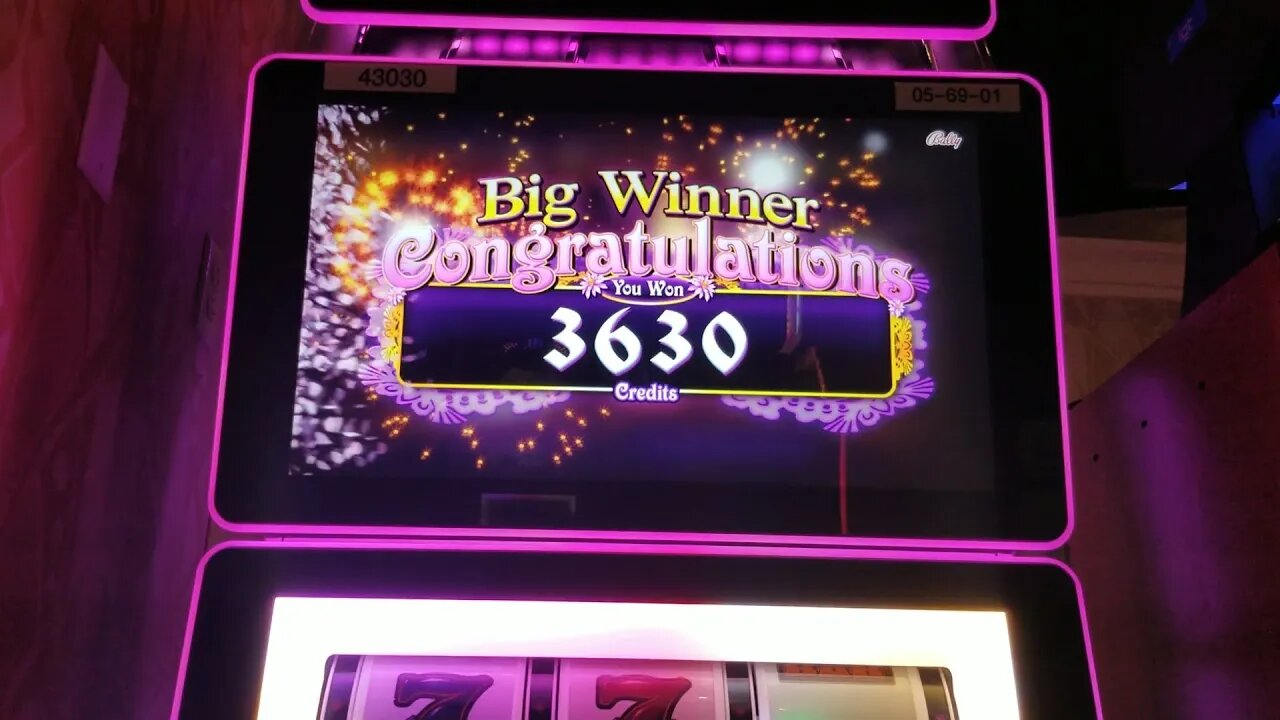 BIG WIN on Lucky Tree Slot Machine at the Casino!