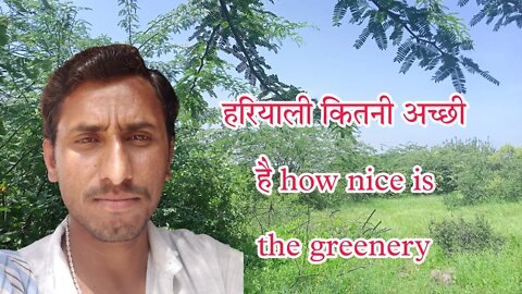 हरियाली कितनी अच्छी है how nice is the greenery