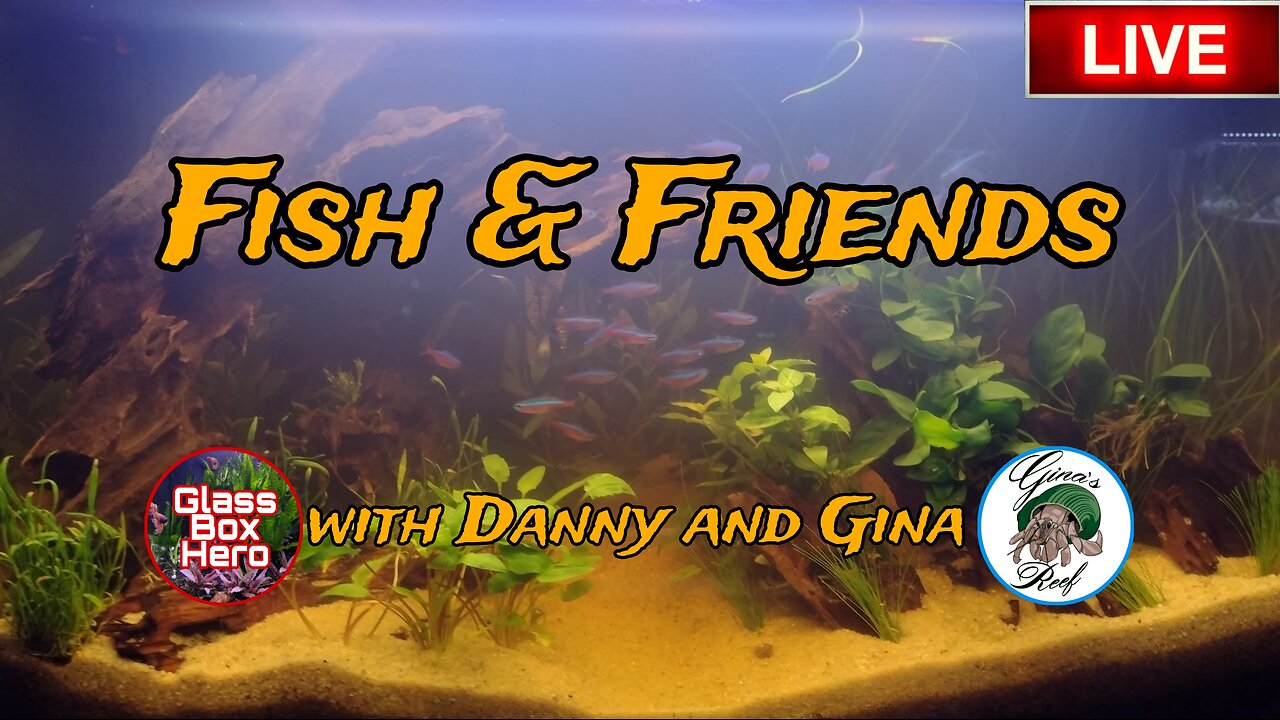 Fish & Friends with Danny and Gina