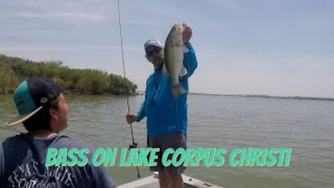 Plenty of quality bass in Lake Corpus Christi