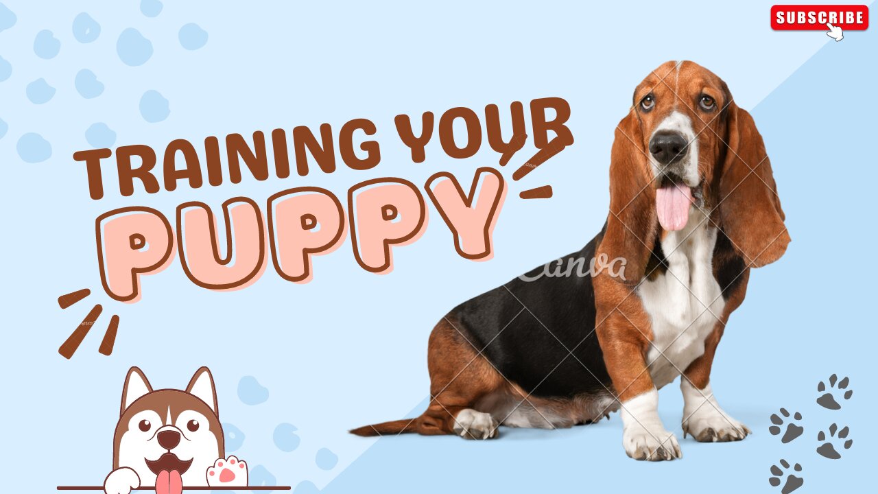 Get your Puppy to follow your commands