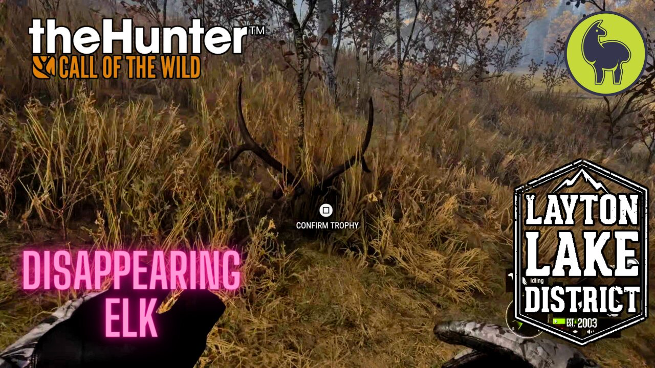 The Hunter: Call of the Wild, Disappearing Elk! (Glitch) (PS5 4K)