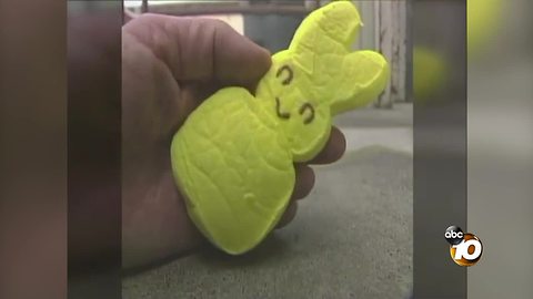 Peeps Test: Are they indestructible?