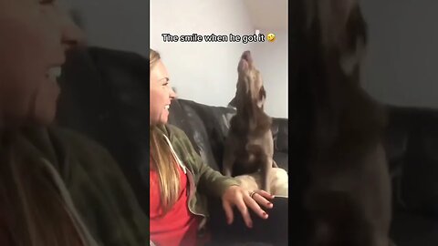 Dog gets mad because She is playing a trick on him