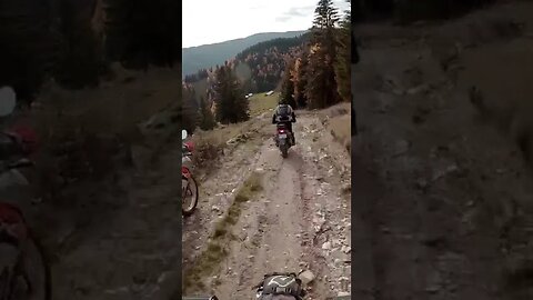 Ma scuzati dar ma grabesc...am uitat ceva pe foc #shorts #enduro #romania #motocerbii