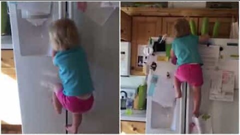 Conheça a bebê que adora escalar geladeiras
