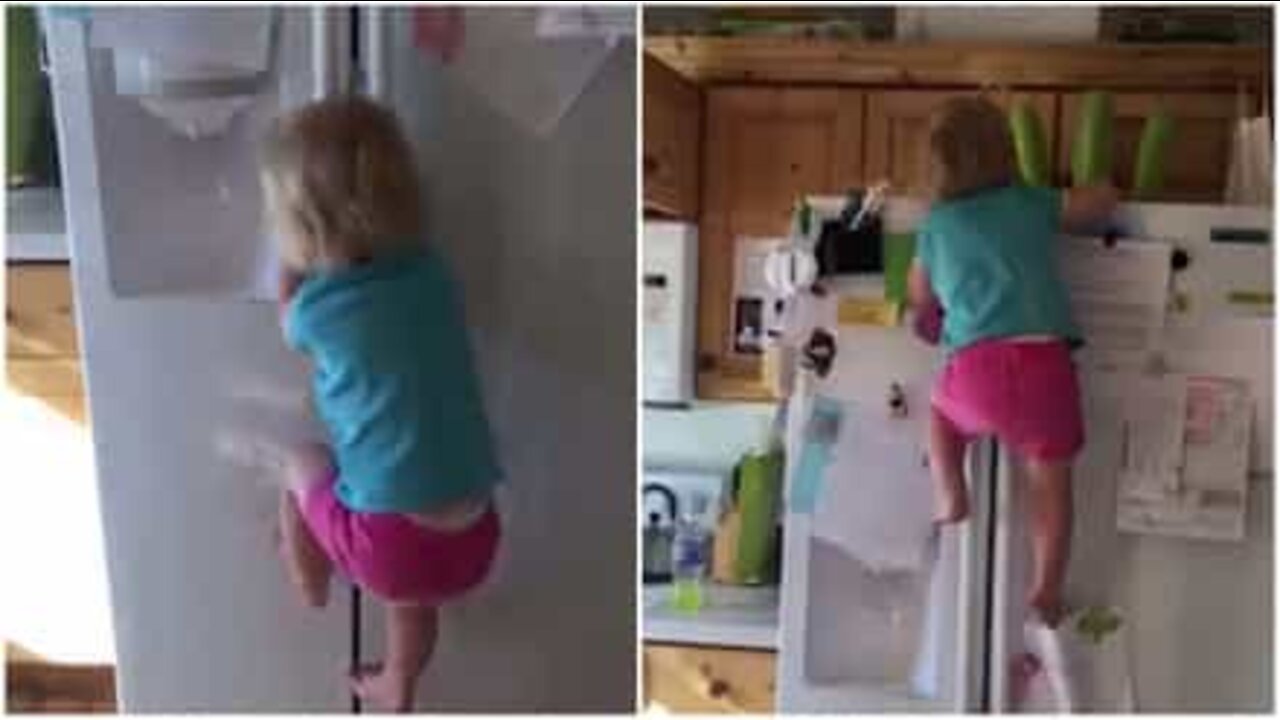 Conheça a bebê que adora escalar geladeiras