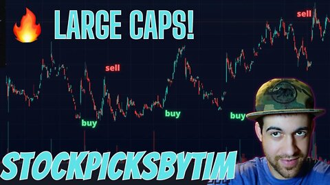 My Large Cap Stock Picks Pypl Wmt & More