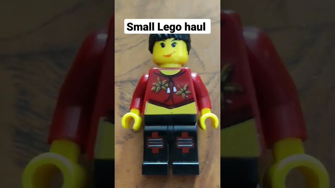 Small lego haul #lego #memes #haul