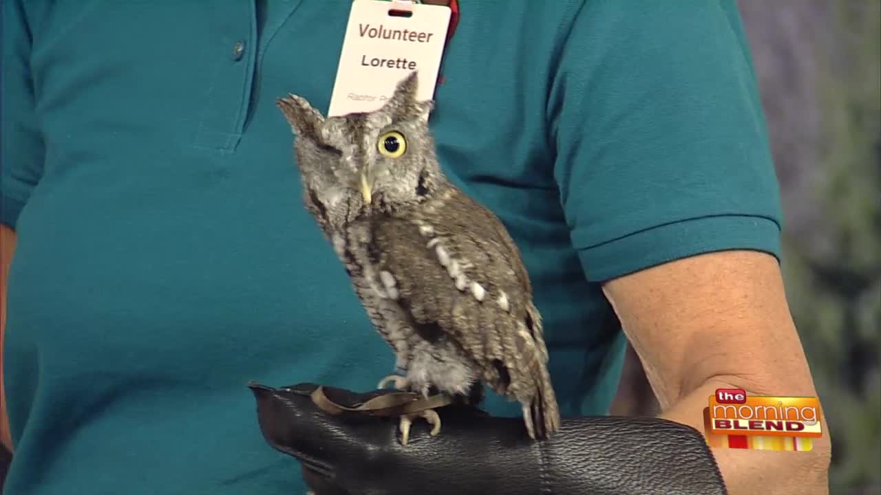 Don't Miss Xtreme Raptor Day 2019!
