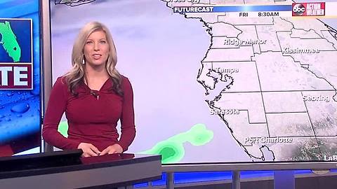 Action Weather Forecast