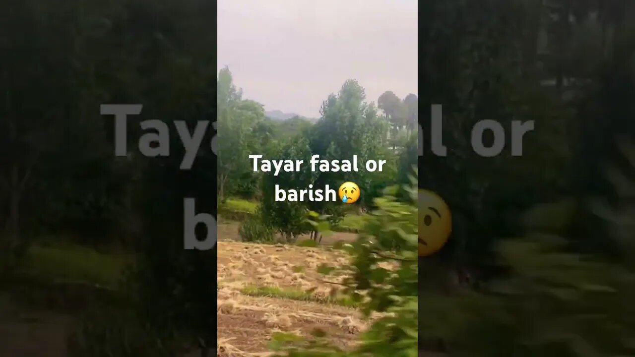 #nature #calm #trending #travel #viral #ytshorts #mountain #subscribe #support #naturelovers #shorts