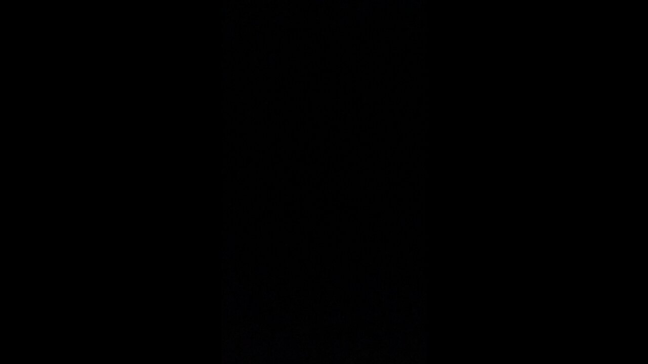 Armadillo off my deck