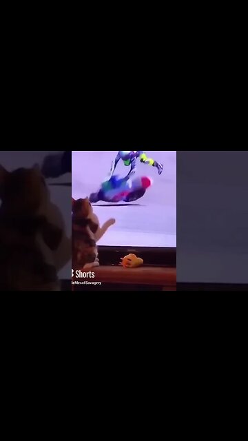 How Some people make it this Far in Life?.. 😂#shorts