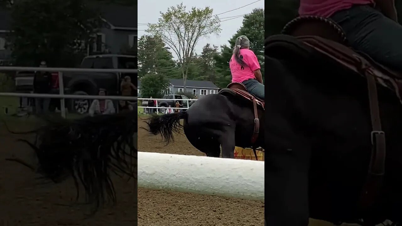 I lost my boot! #horse#