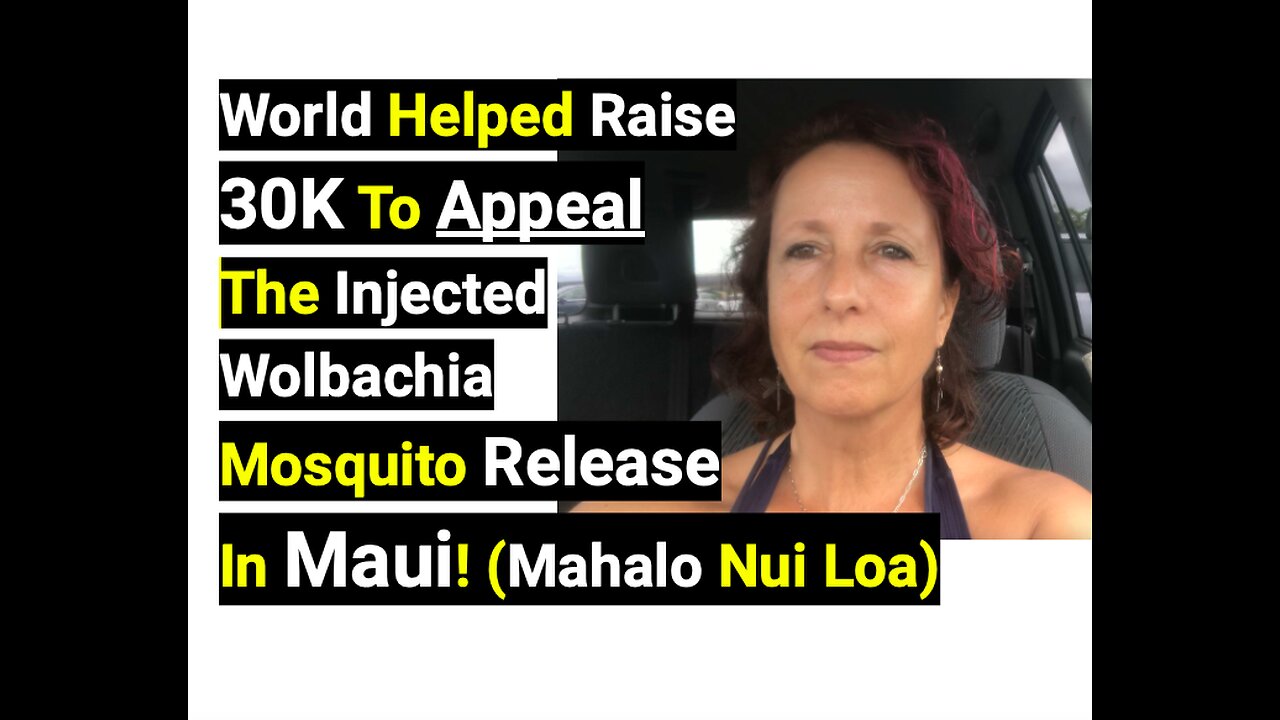 World Helped Raise 30K To Appeal The Injected Wolbachia Mosquito Release In Maui! (Mahalo Nui Loa)