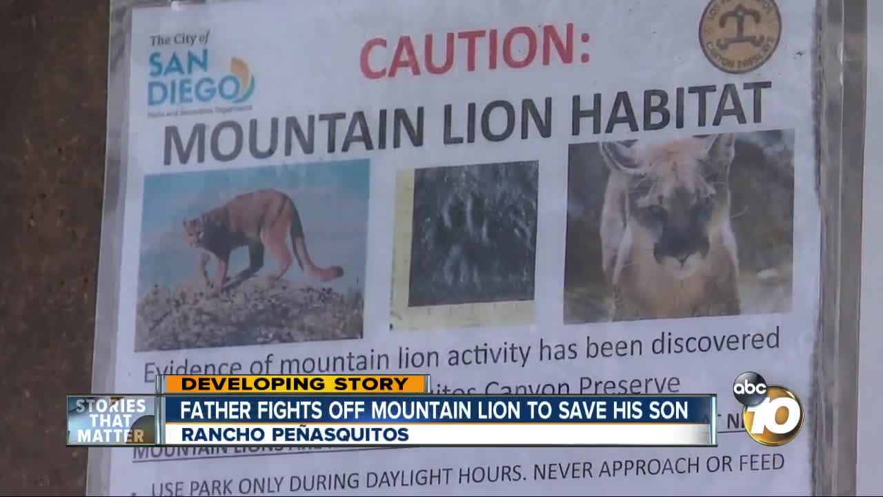 Father fights off mountain lion to save his son