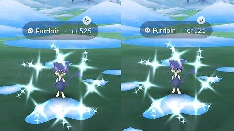 Encountering and Catching Shiny Purrloin