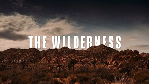 Why Men Go To The Woods