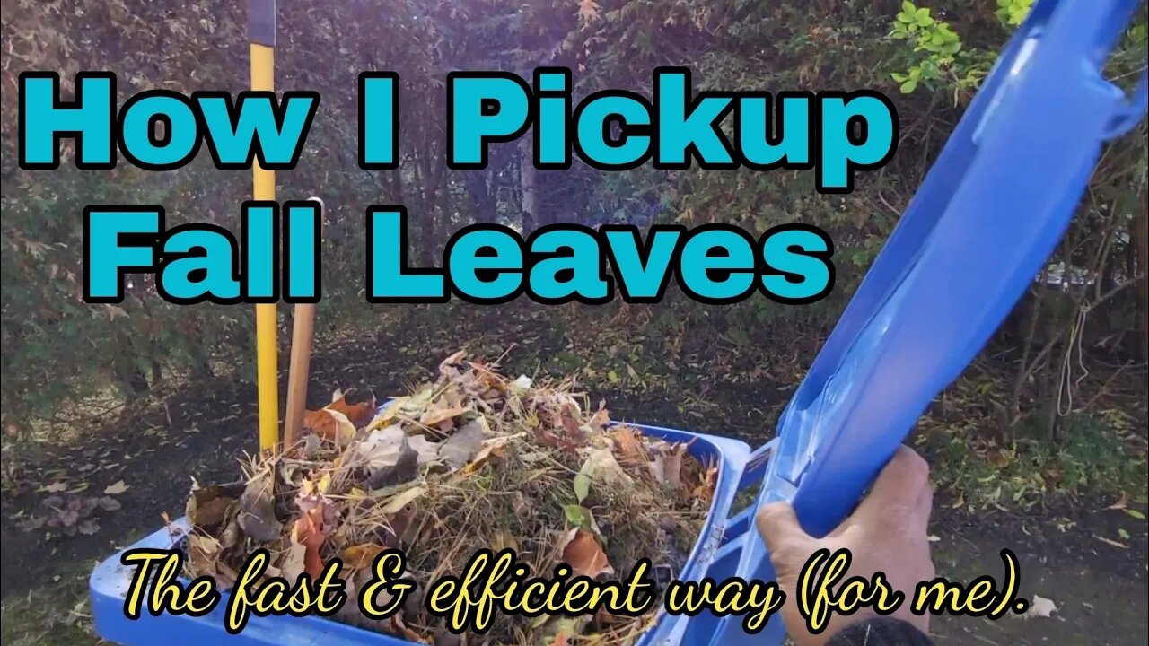 🍁 How I Pick Up Fall Leaves • Fall Leaf Clean Up • Fall Season 🍂🍃