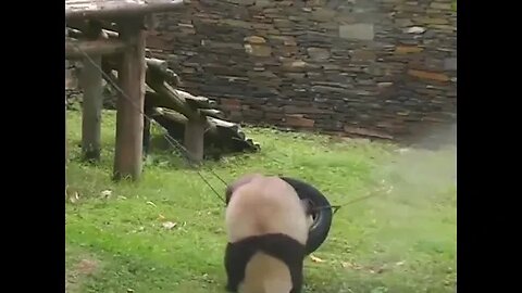 He's doing his best.