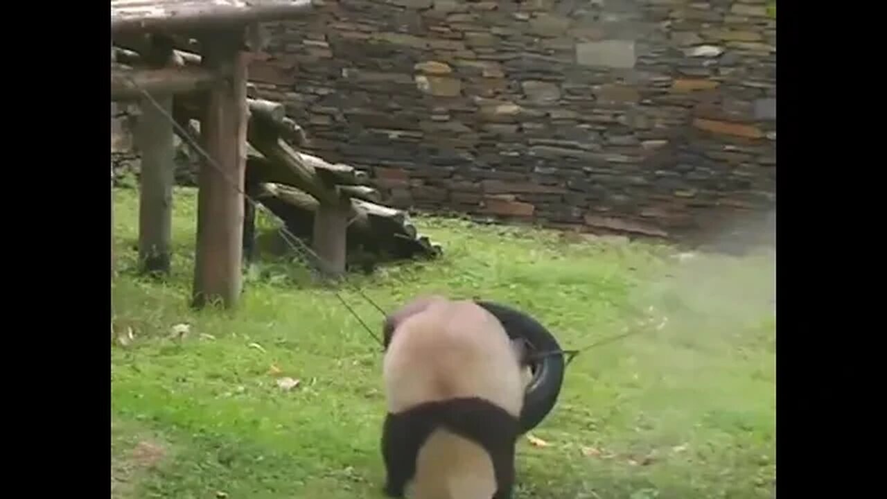 He's doing his best.