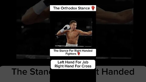 The Three Boxing Stances in Boxing #boxing