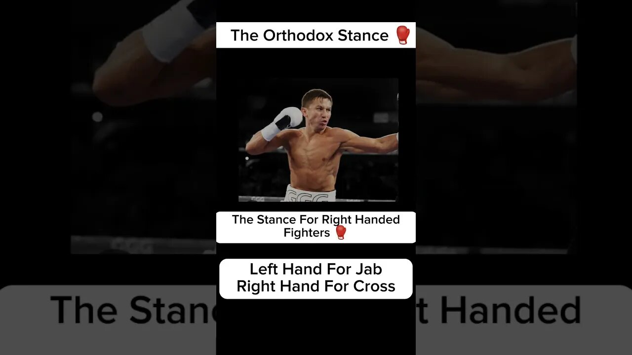 The Three Boxing Stances in Boxing #boxing