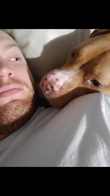 Pup has super sweet reaction every time owner kisses him