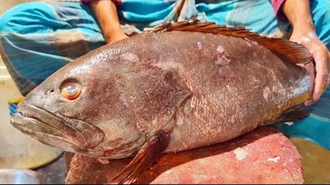 Amazing Giant Black Hamour Fish Cutting & Chopping Live In Fish Market