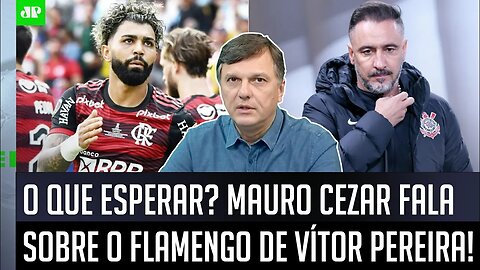"NÃO TENHAM DÚVIDAS! O Flamengo VAI SER COBRADO para..." Mauro Cezar FALA TUDO sobre Vítor Pereira!