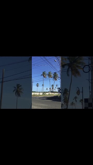 Views from the front yard