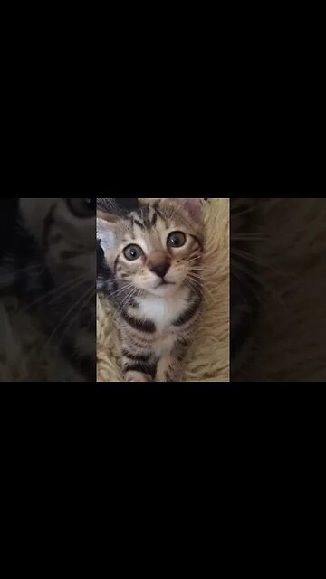 3 - Maggie - cheers me up...