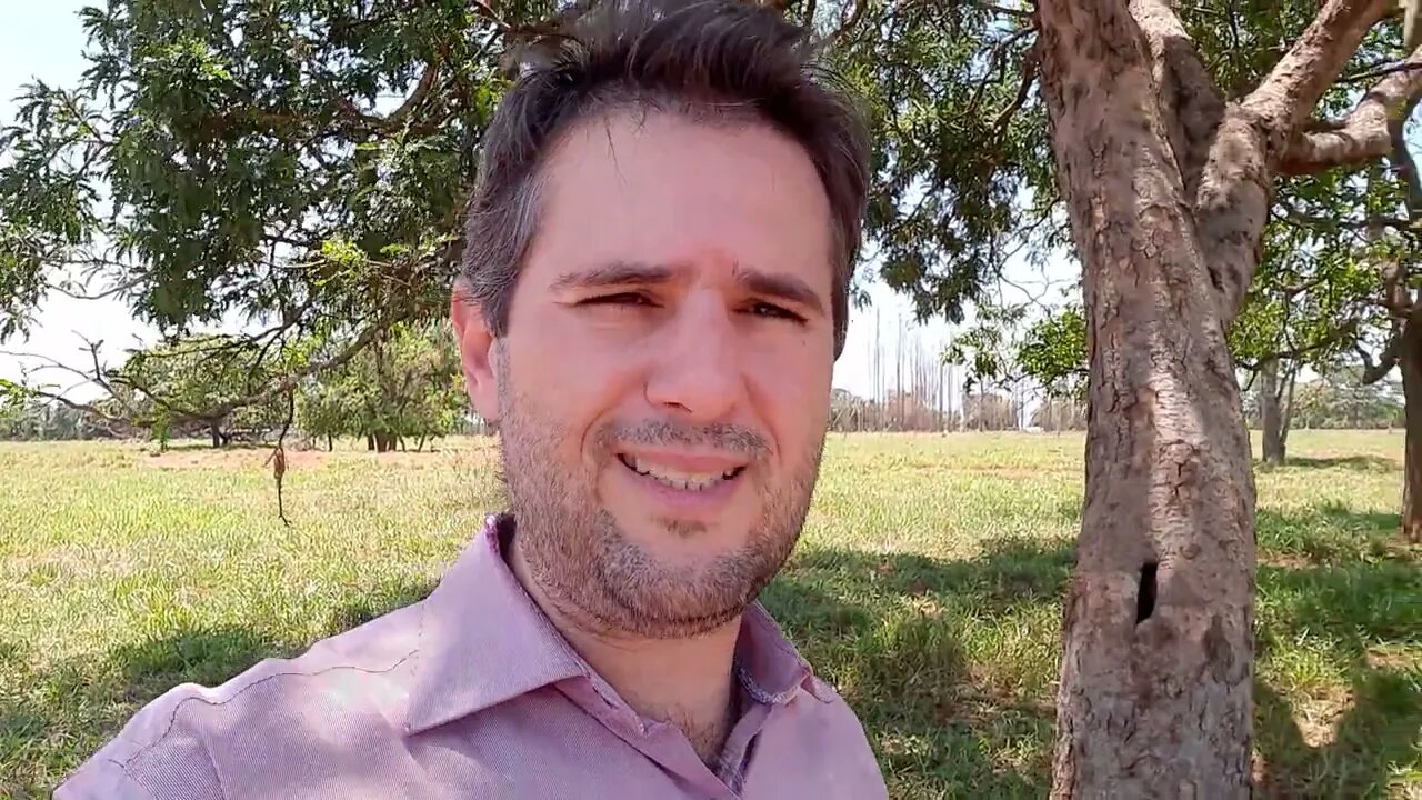 Exemplo: Importância do laudo pericial particular imediatamente após o incêndio veicular. Parte 2/2