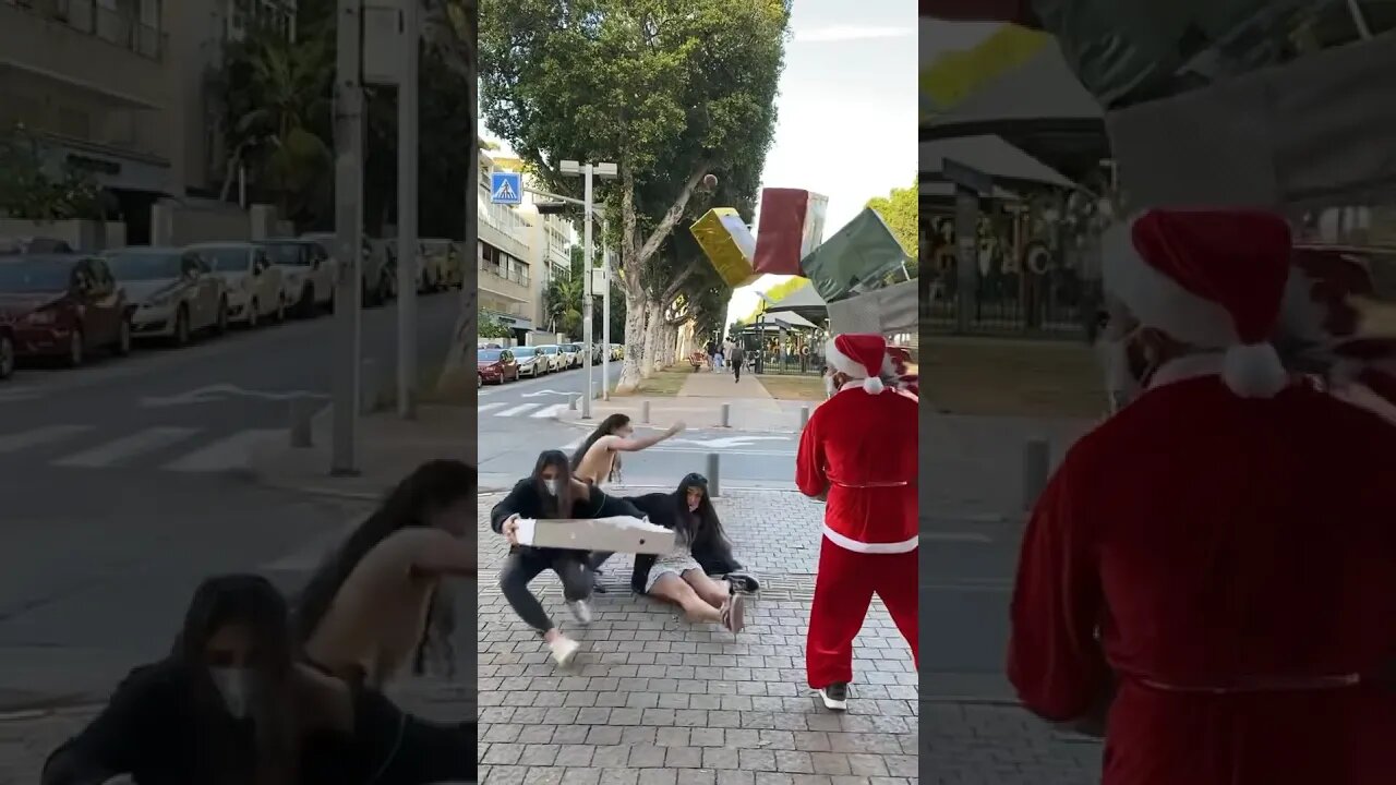 They Scared of The Boxes! 📦🤣