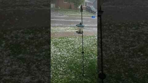 Lindsay Ontario Hail Storm August 3 2023