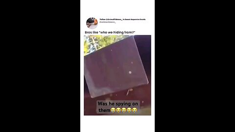 you must see😂