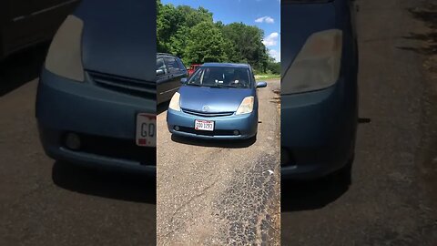 Turbo watermelonhead