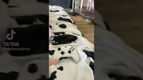 Thought She was finally asleep