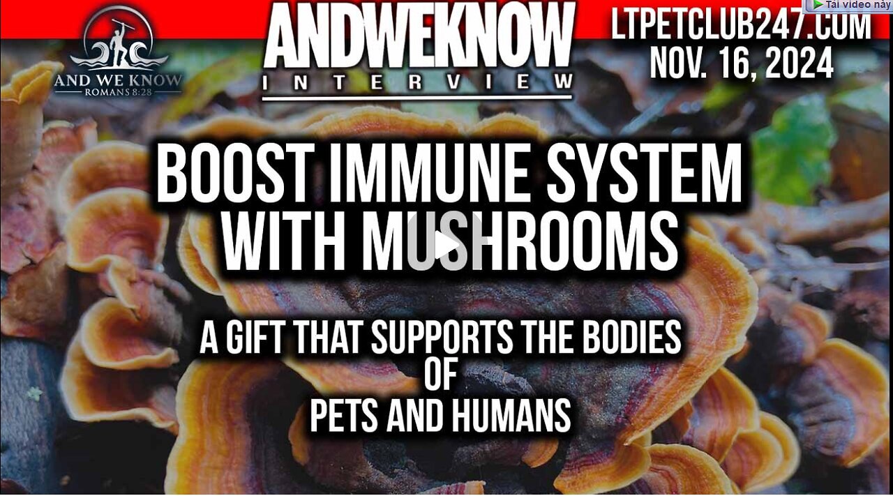 11.16.24- Miracle MUSHROOMS for SUPPORTING the IMMUNE SYSTEM, Amazing