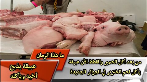 هادي هيا الجزائر الجديدة 🇩🇿