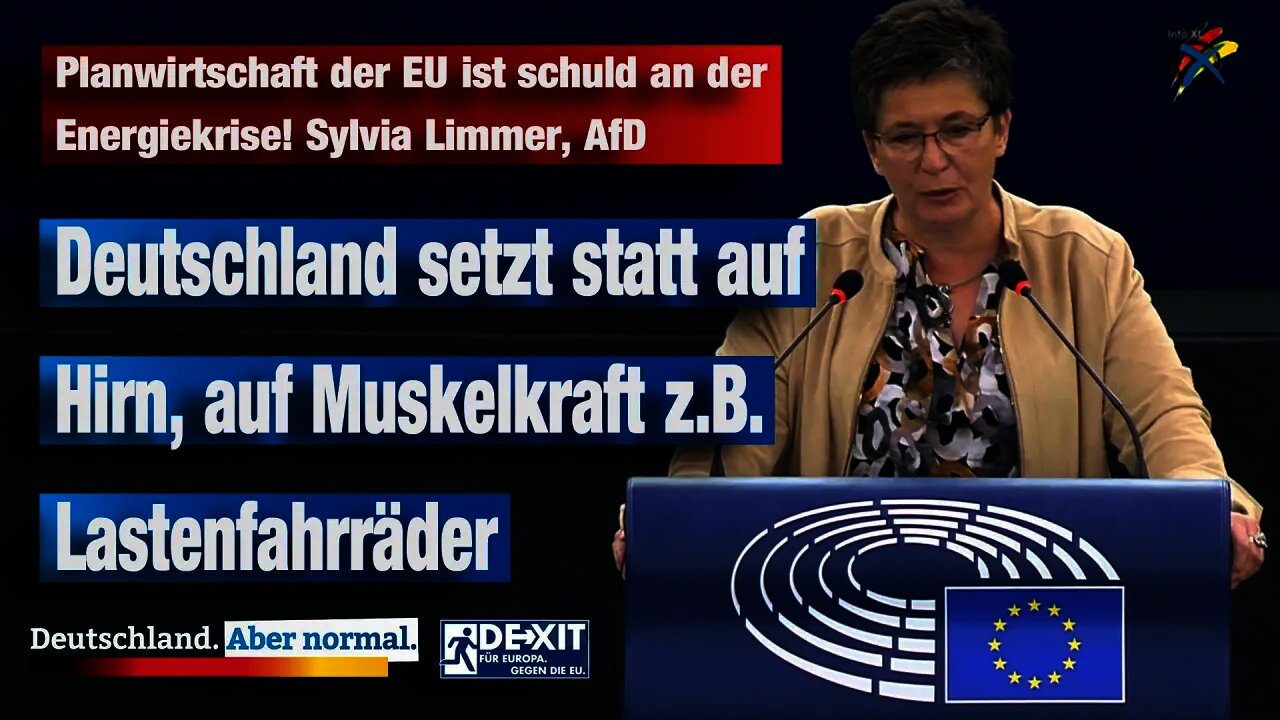 Planwirtschaft der EU ist schuld an der Energiekrise! Sylvia Limmer, AfD