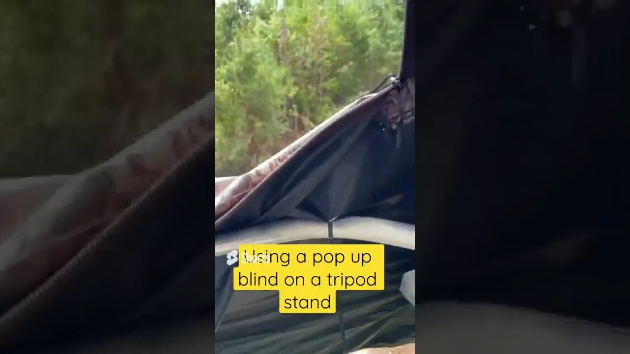 Using A Popup Blind On A Tripod Stand