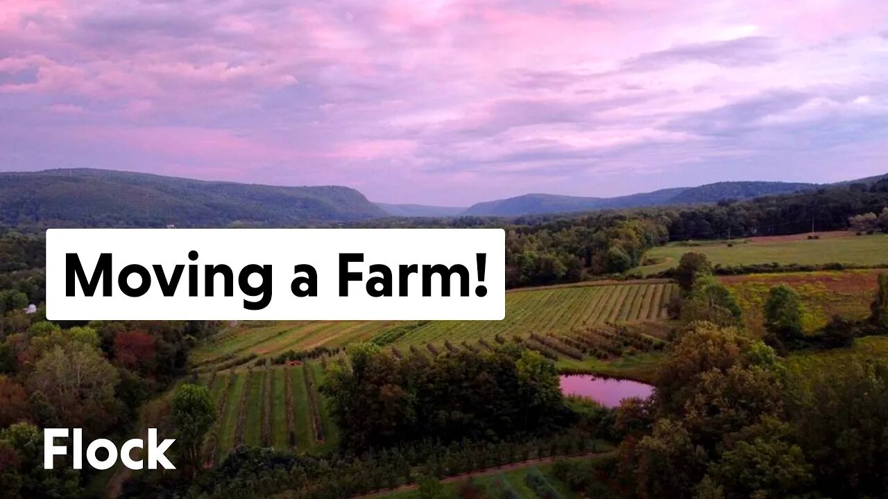 MOVING FARM and BUILDING a 700 SQ FT Home — Ep. 042