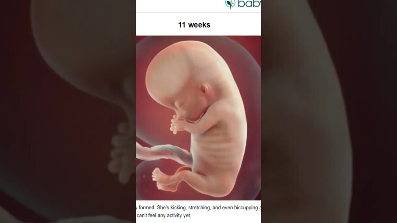 Fetus- NOT a Cluster of Cells (Its Actually a Baby)